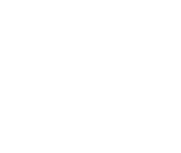 TFI Founder Cygil Seal and Signature Transparent